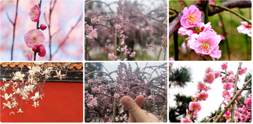 1678343297701633.png 1678343297701633.png